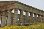 segesta-temple-with-flowers104B42F5B-AF04-3C64-2287-8FC6BE2D8447.jpg 