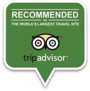 tripadvisor NST Transfer Taxi